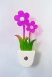 LED Night Lighting