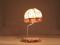 Baby Lamp